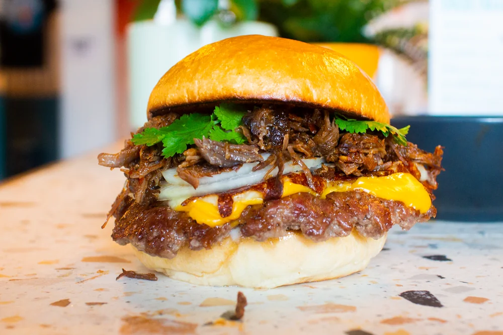 Birria Burger burger special at Zephyr Burgers